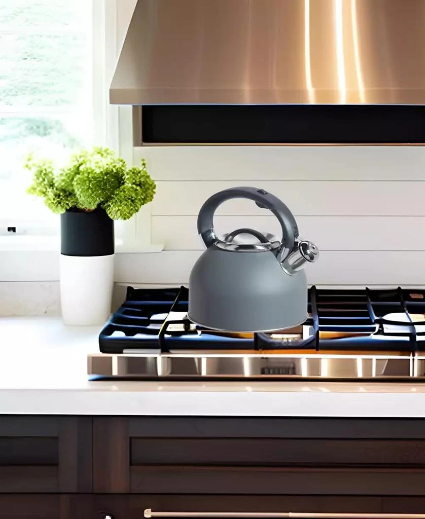 商品Oggi|1.9 Litre Whistling Tea Kettle,价格¥497,第3张图片详细描述
