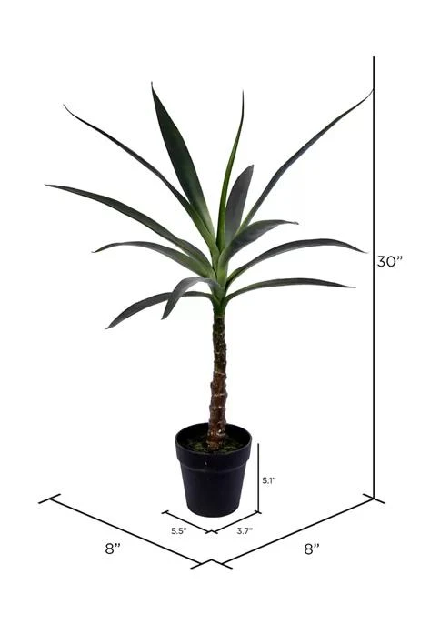 商品Vickerman|Green Yucca Tree In Black Planters Pot,价格¥565,第3张图片详细描述