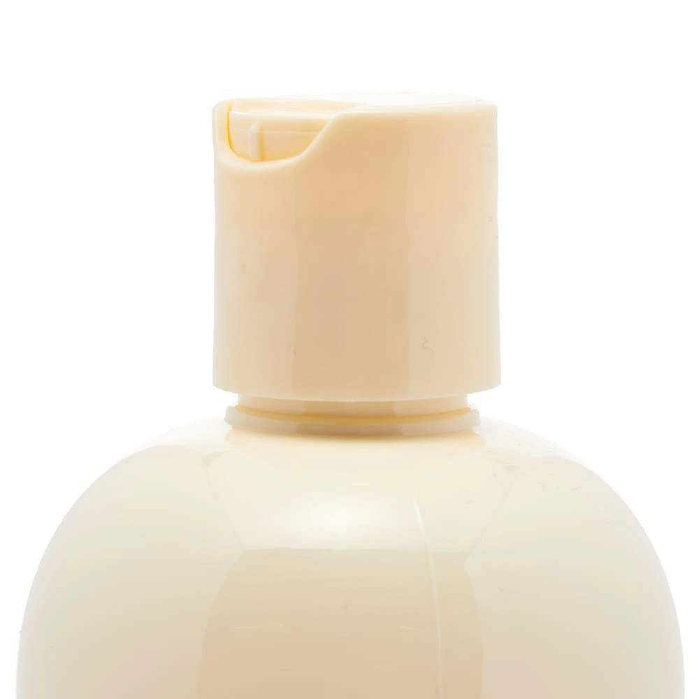 商品Sans (Ceuticals)|Sans (Ceuticals) Nourishing Hair Wash,价格¥201,第2张图片详细描述