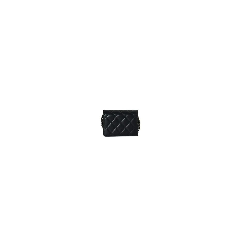 商品Chanel|Chanel Crossbody Card Holder With Flap Gold Hardware Black,价格¥23437,第3张图片详细描述