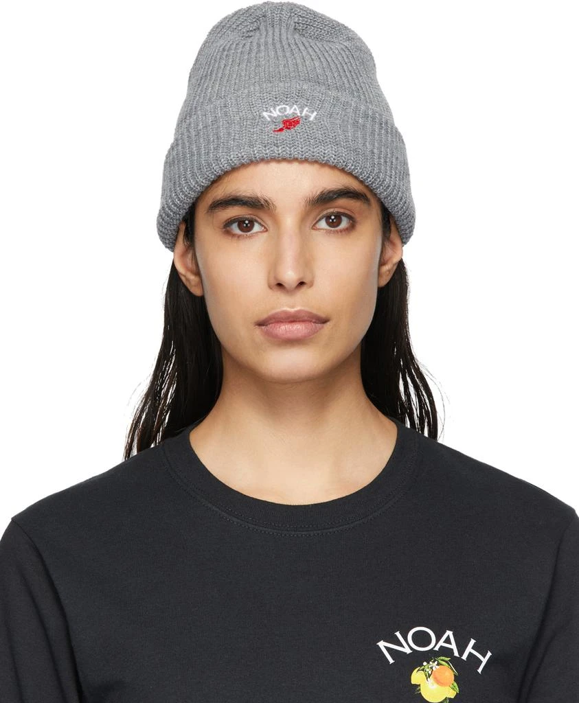 商品Noah|Grey Wing Foot Beanie,价格¥262,第1张图片