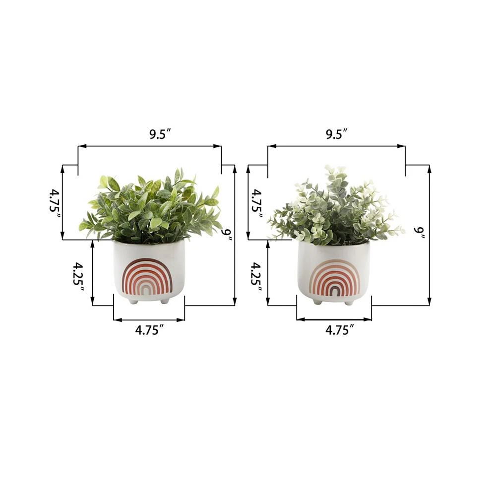 商品Flora Bunda|Eucalyptus Tea Leaf in Mini Rainbow Ceramic Pot Footed Set, 2 Piece,价格¥545,第2张图片详细描述