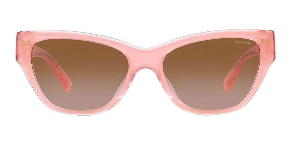商品Coach|Coach Cat-Eye Frame Sunglasses,价格¥873,第1张图片