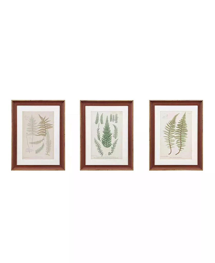 商品Martha Stewart|Martha Stewart Lady Fern Collection Single Mat Framed Graphic 3-Pc Set,价格¥1660,第1张图片