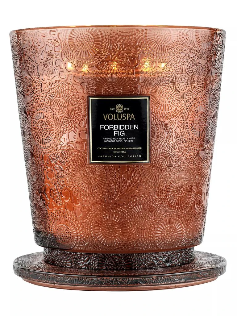 商品Voluspa|Forbidden Fig 5-Wick Hearth Candle,价格¥1769,第2张图片详细描述