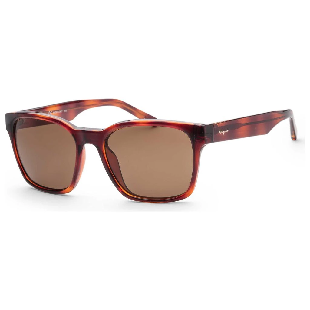 商品Salvatore Ferragamo|Ferragamo Men's Sunglasses SF959S-5518214,价格¥522,第1张图片