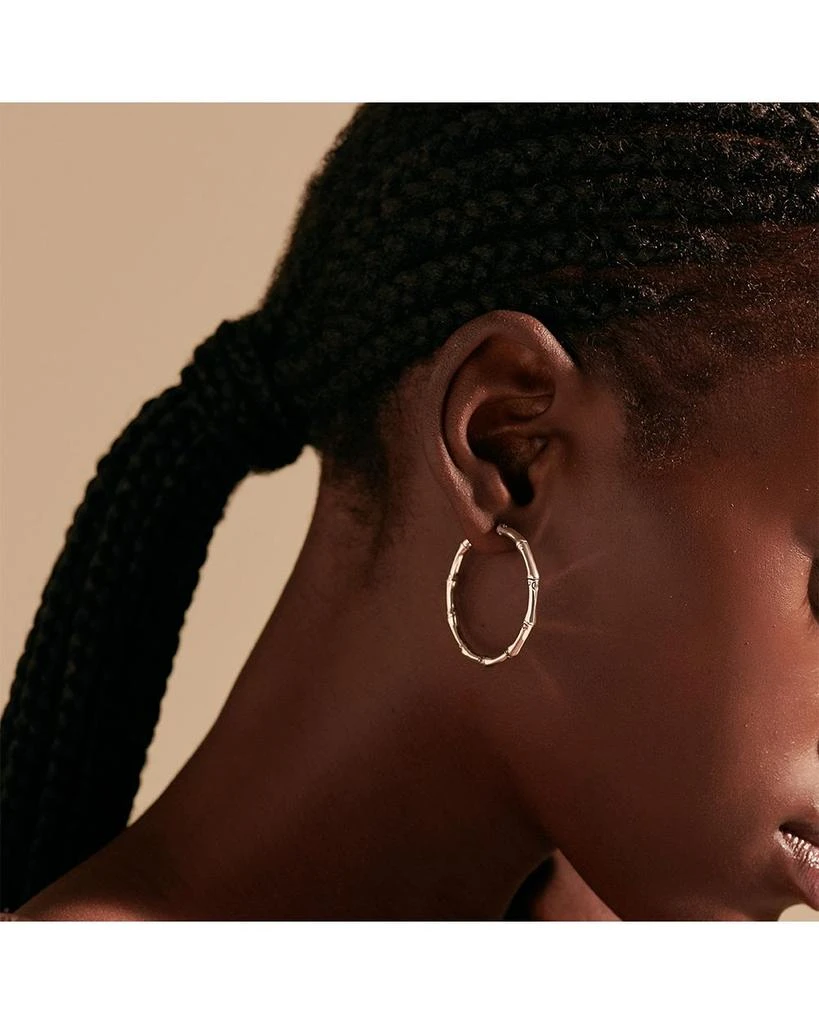 Bamboo Medium Hoop Earrings 商品