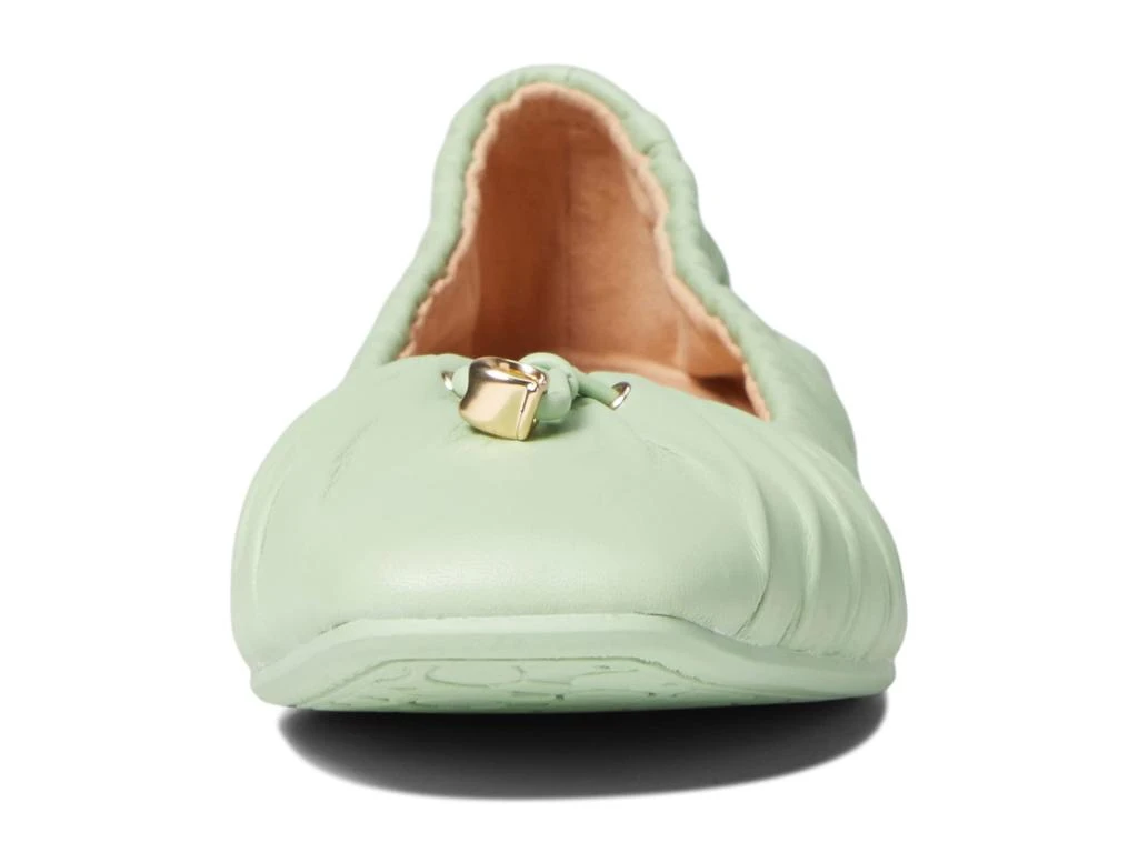 Eleanor Leather Ballet Flats 商品