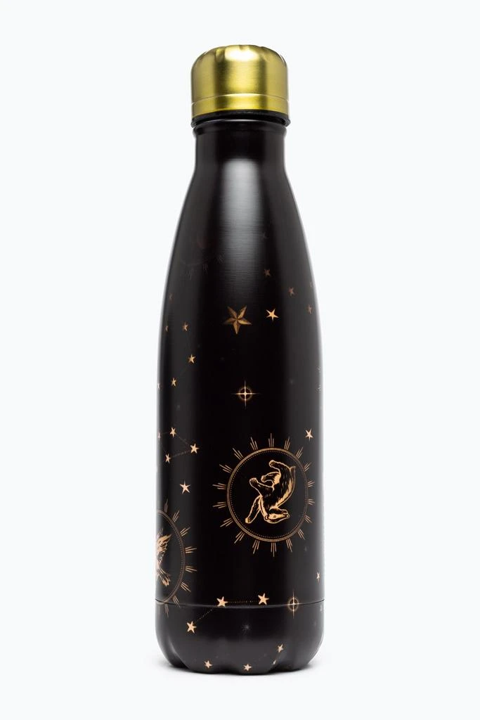 商品HYPE ACCESSORIES|HARRY POTTER X HYPE. GOLD METAL BOTTLE,价格¥184,第2张图片详细描述