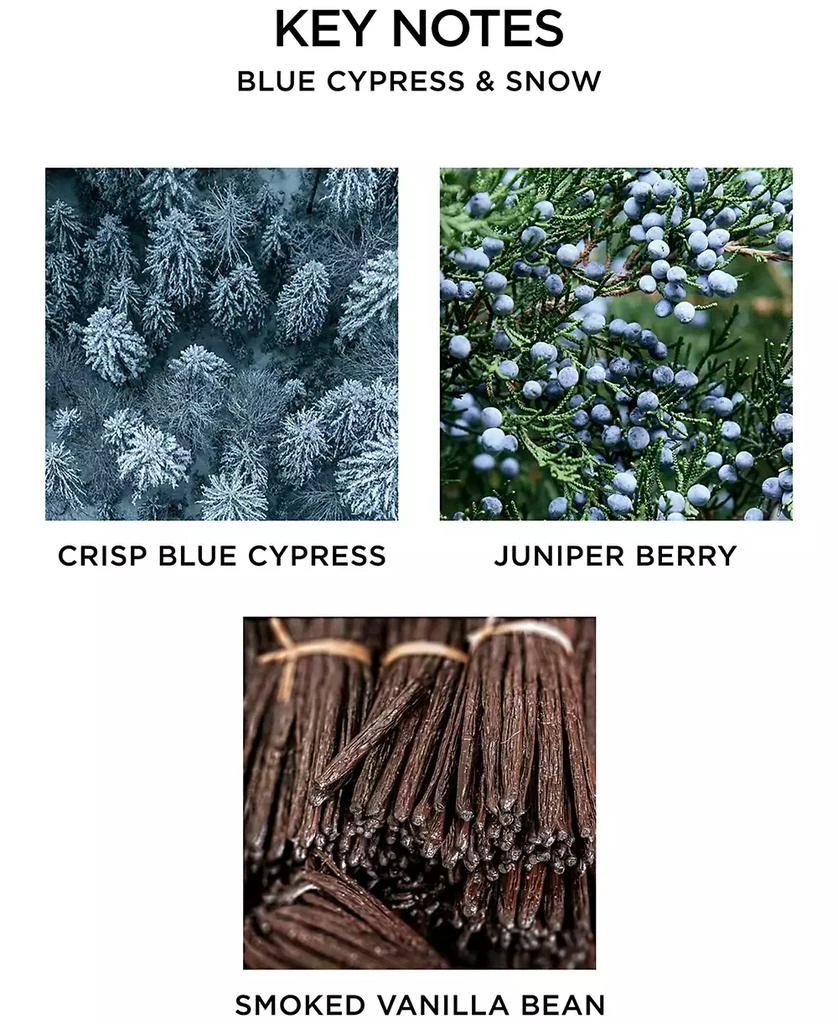 Blue Cypress & Snow Reed Diffuser, 5.9 oz. 商品