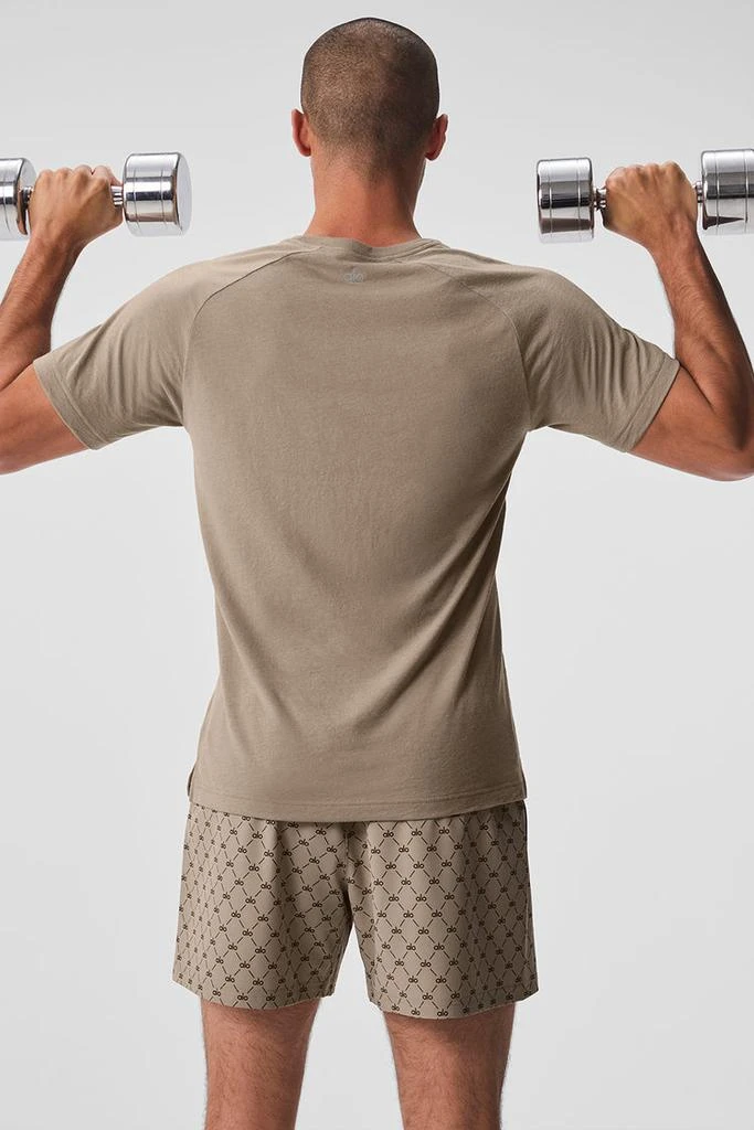 商品Alo|Triumph Raglan Tee - Athletic Heather Grey,价格¥442,第2张图片详细描述