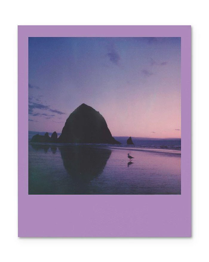 商品Polaroid Originals|600相纸,价格¥125,第4张图片详细描述