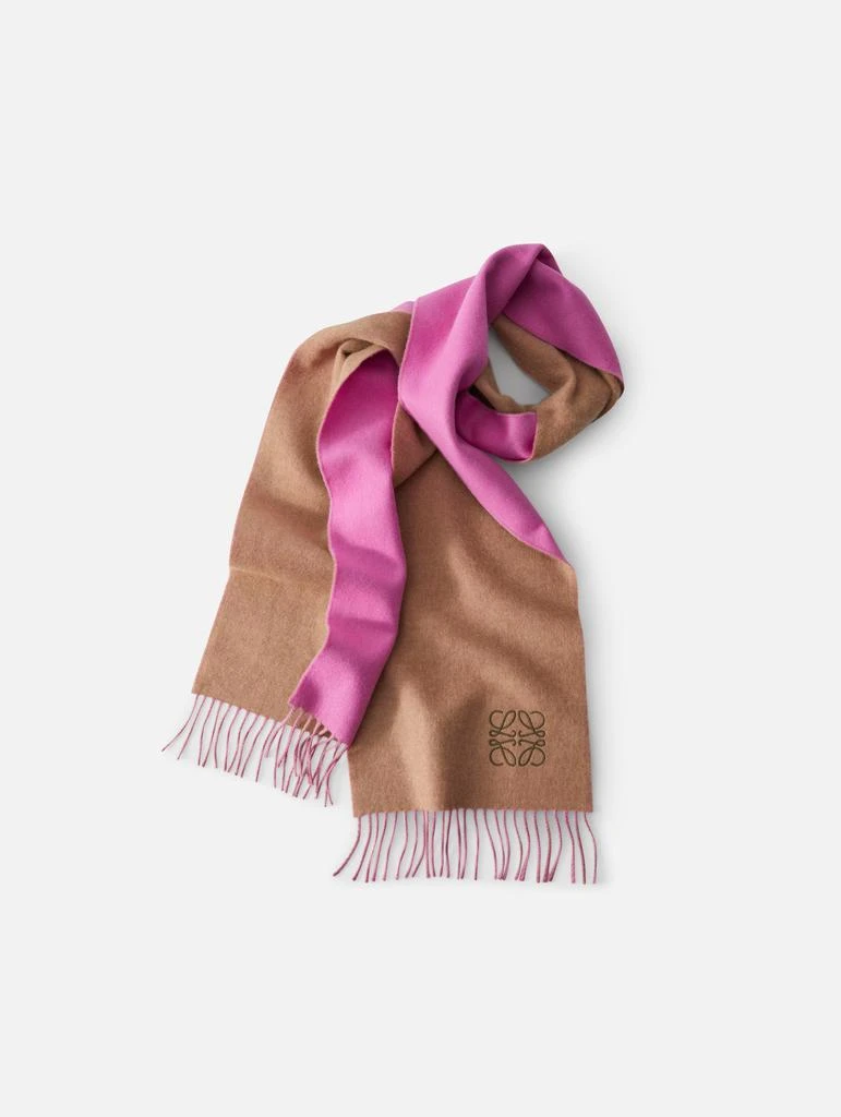 商品Loewe|Bicolor Scarf,价格¥2672,第1张图片