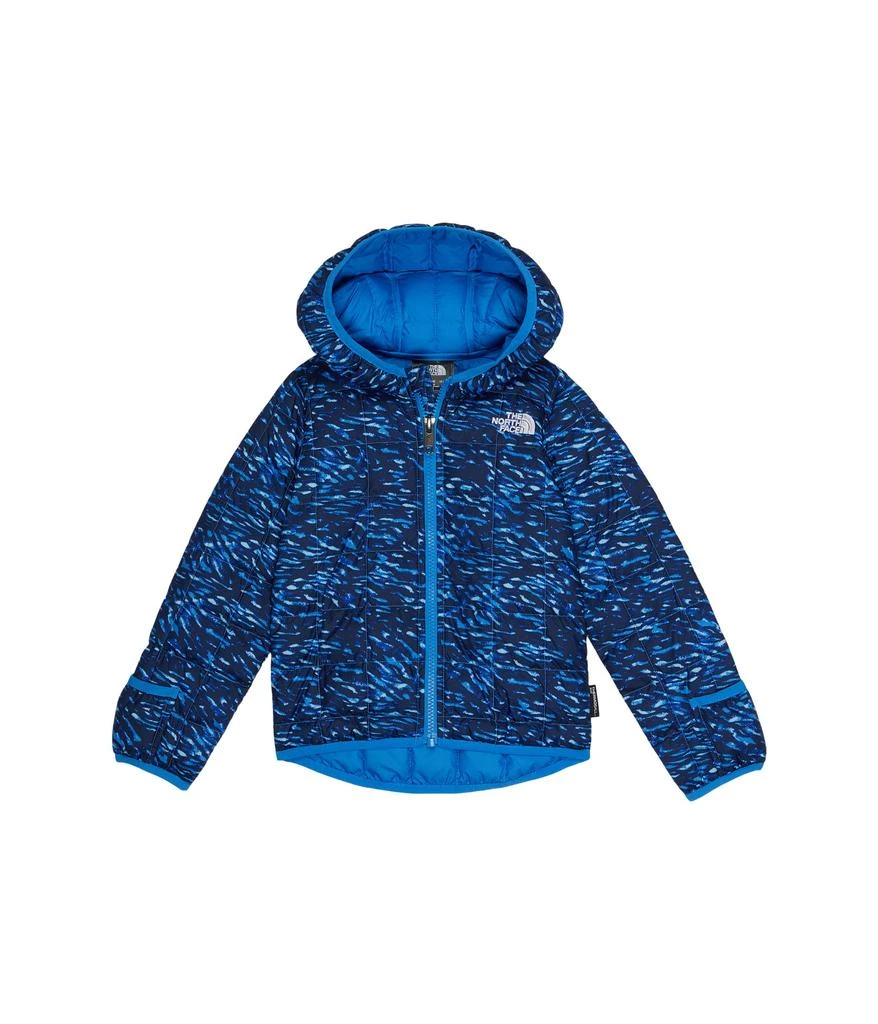 商品The North Face|ThermoBall™ Hooded Jacket (Infant),价格¥531,第1张图片