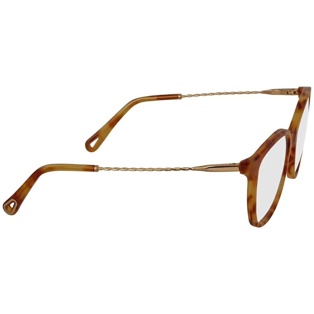 商品Chloé|Chloe Ladies Tortoise Rectangular Eyeglass Frames CE2727 725 54,价格¥452,第3张图片详细描述