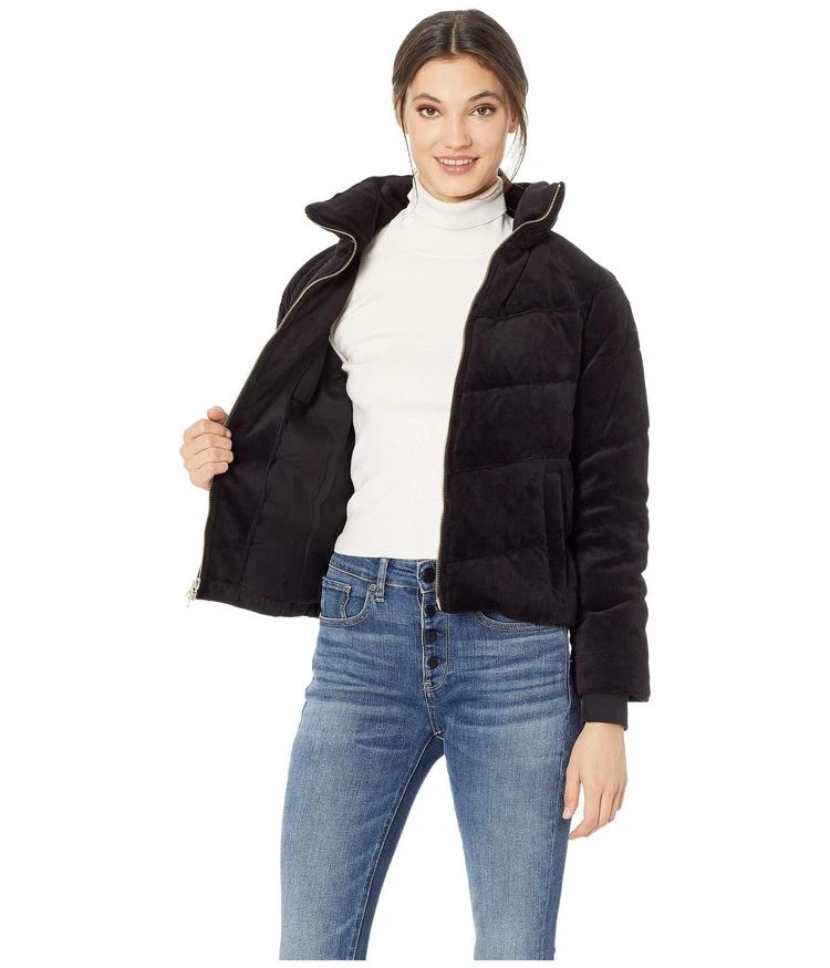 商品Juicy Couture|Track Velour Solid Quilted Puffer Jacket,价格¥743,第5张图片详细描述