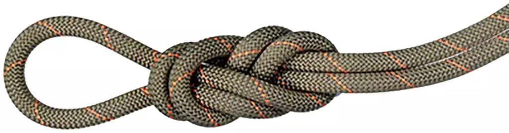 商品Mammut|Mammut 9.9 Gym Workhorse Classic Rope,价格¥793,第1张图片