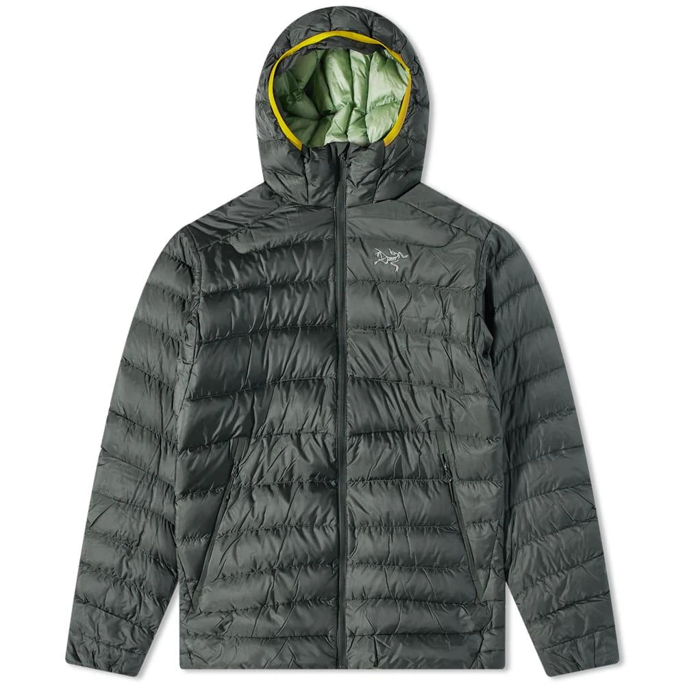 商品Arc'teryx|Arc'teryx Cerium LT Hoody,价格¥3322,第1张图片