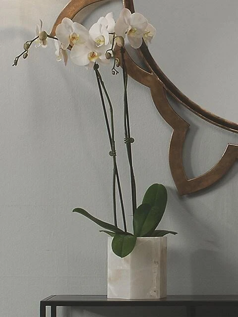 商品Jamie Young Co.|Savannah Small Hexagon Hurricane,价格¥1973,第3张图片详细描述