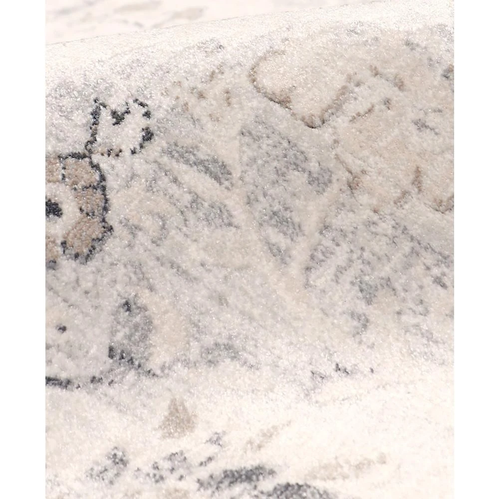 商品Pasargad Home|Fantasia PRC-1021IS 2'6" x 10' Runner Area Rug,价格¥2833,第2张图片详细描述