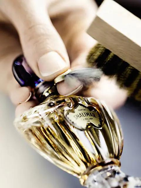Shalimar Perfume Extract商品第6张图片规格展示