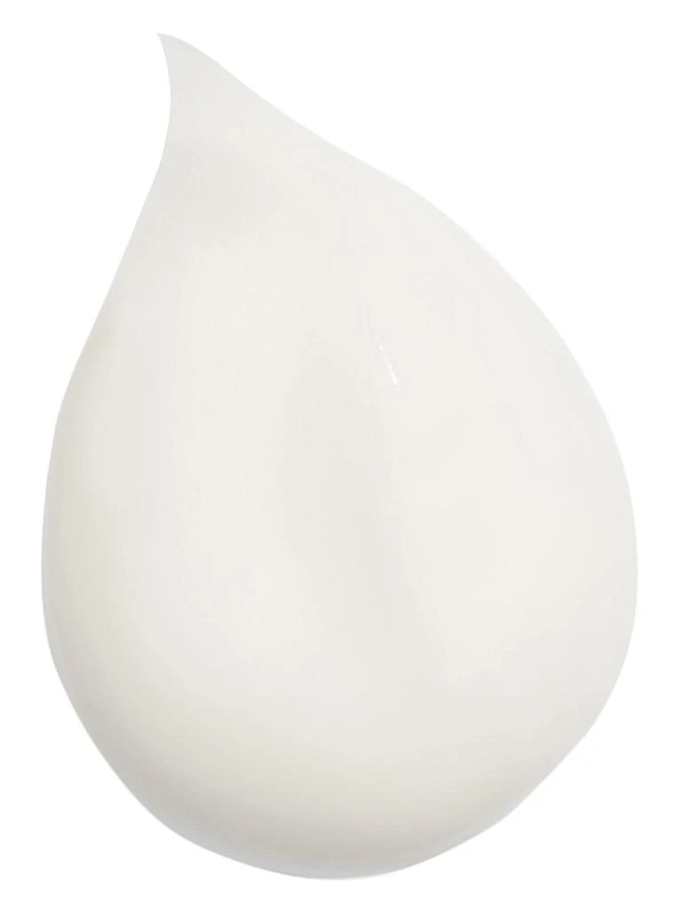 商品Sisley|Hair Rituel Jumbo Revitalizing Volumizing Shampoo,价格¥1449,第2张图片详细描述