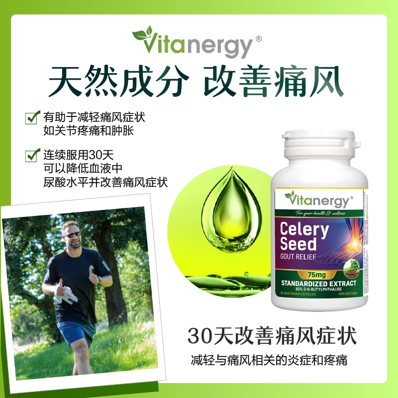 加拿大Vitanergy维生能芹菜籽精华150粒/瓶 缓解痛风 降低尿酸 | Celery Seed VCAP 150 【 2025年7月有效期】 商品