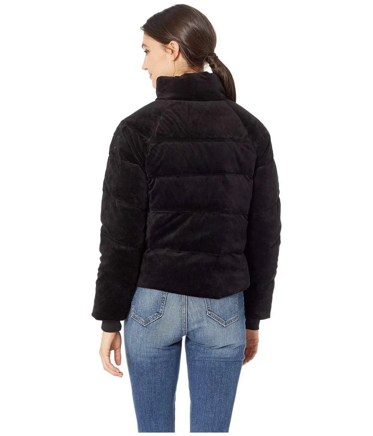 商品Juicy Couture|Track Velour Solid Quilted Puffer Jacket,价格¥743,第3张图片详细描述