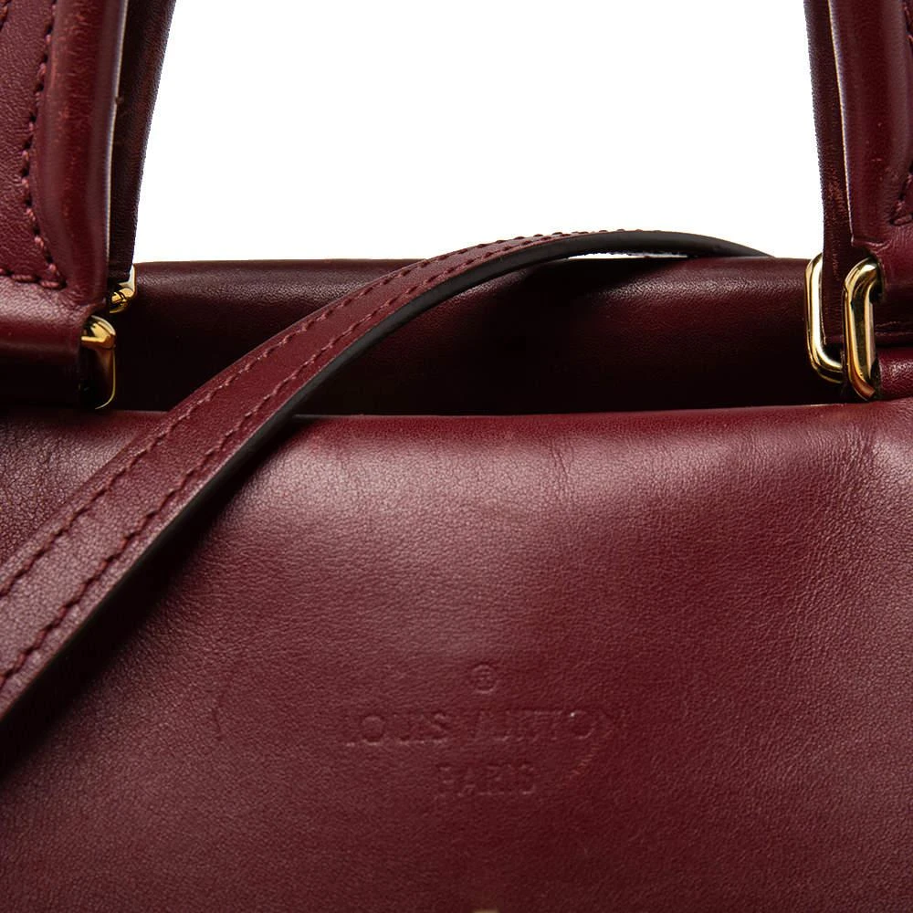 商品[二手商品] Louis Vuitton|Louis Vuitton Raisin Monogram Canvas and Leather Venus Bag,价格¥9025,第5张图片详细描述