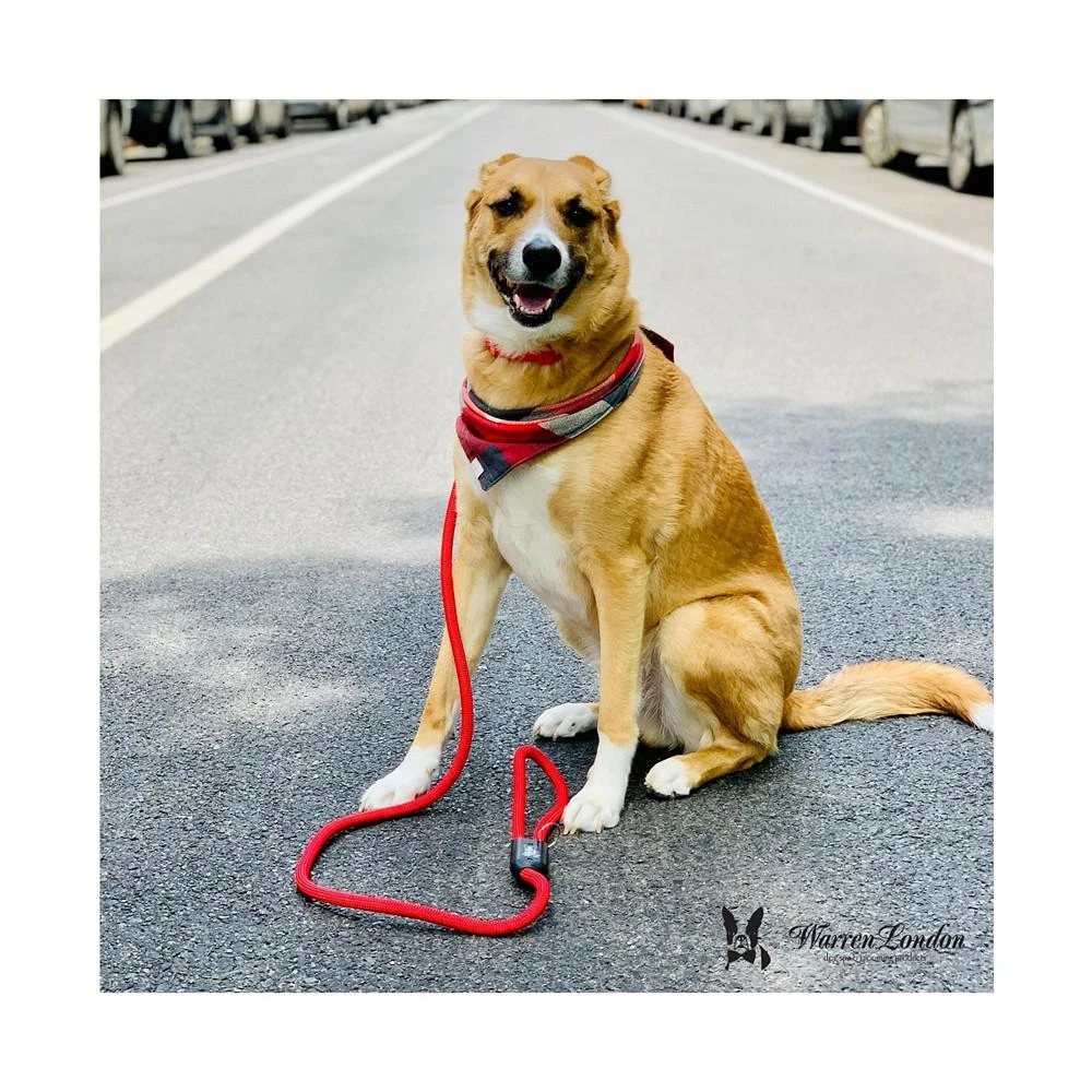 商品Warren London|Premium Climbing Rope Dog Leash with Carabiner Lobster Clasp by | 5ft Heavy Duty Dog Leash For Large Dogs and All Size Pets | Two Colors,价格¥149,第3张图片详细描述