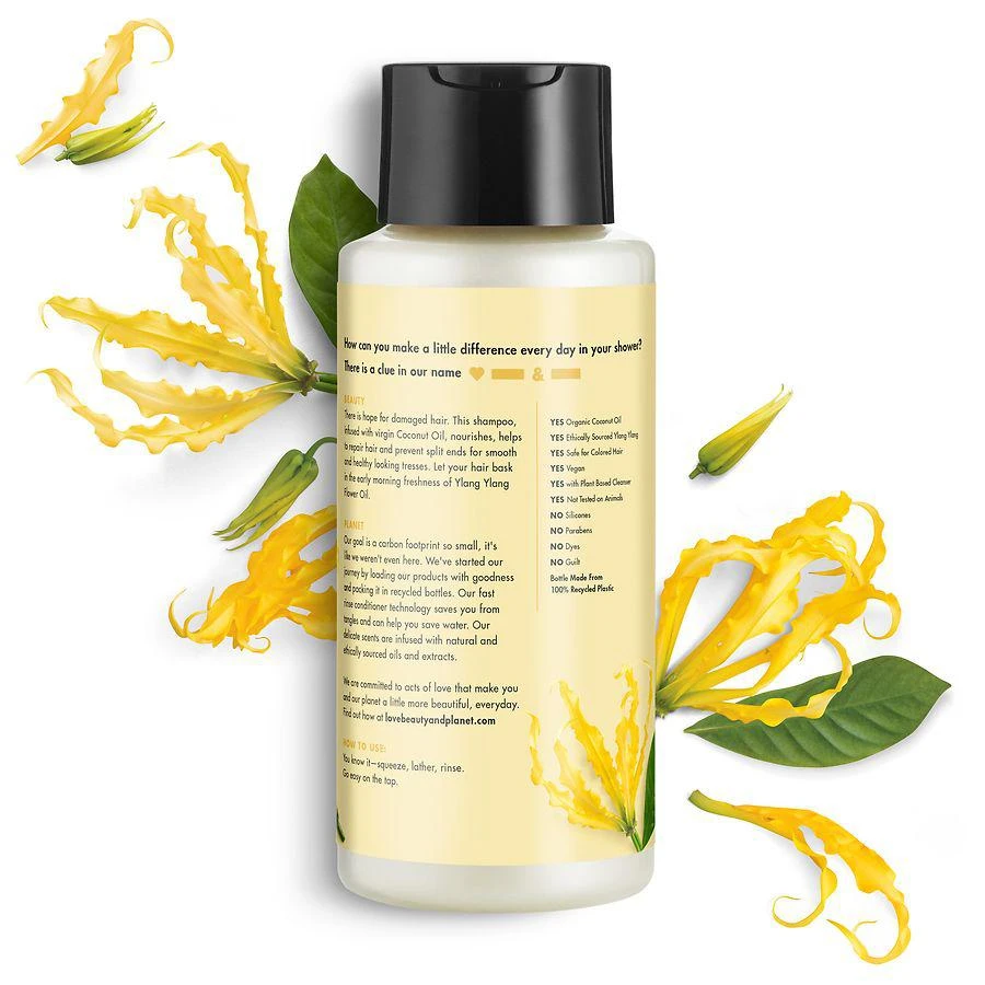 Sulfate Free Shampoo Coconut Oil & Ylang Ylang 商品