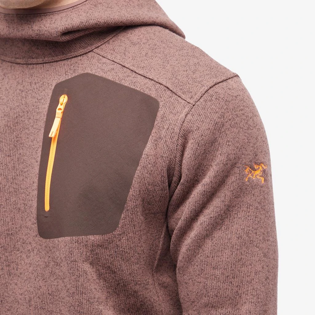 商品Arc'teryx|Arc'teryx Covert Pullover Hoodie,价格¥1595,第5张图片详细描述