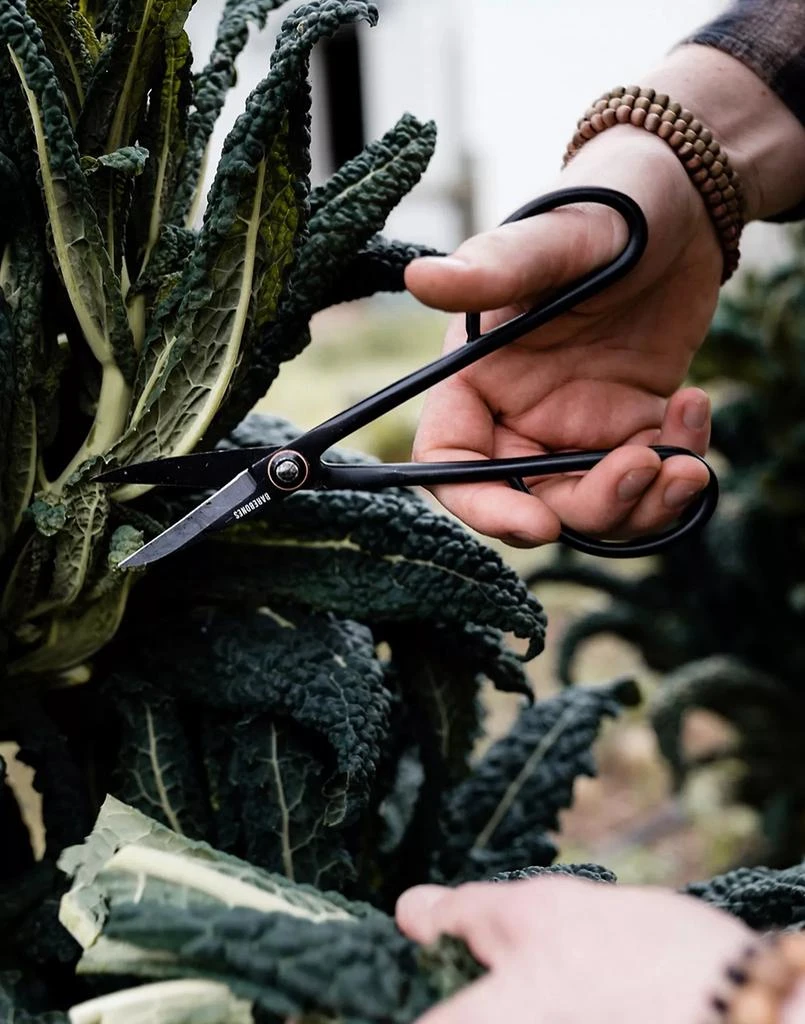商品Madewell|Barebones Artisan Trimming Shears,价格¥275,第2张图片详细描述