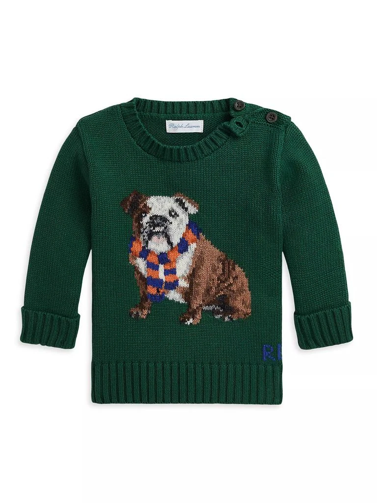 商品Ralph Lauren|Baby Boy's Bulldog Intarsia Sweater,价格¥826,第1张图片