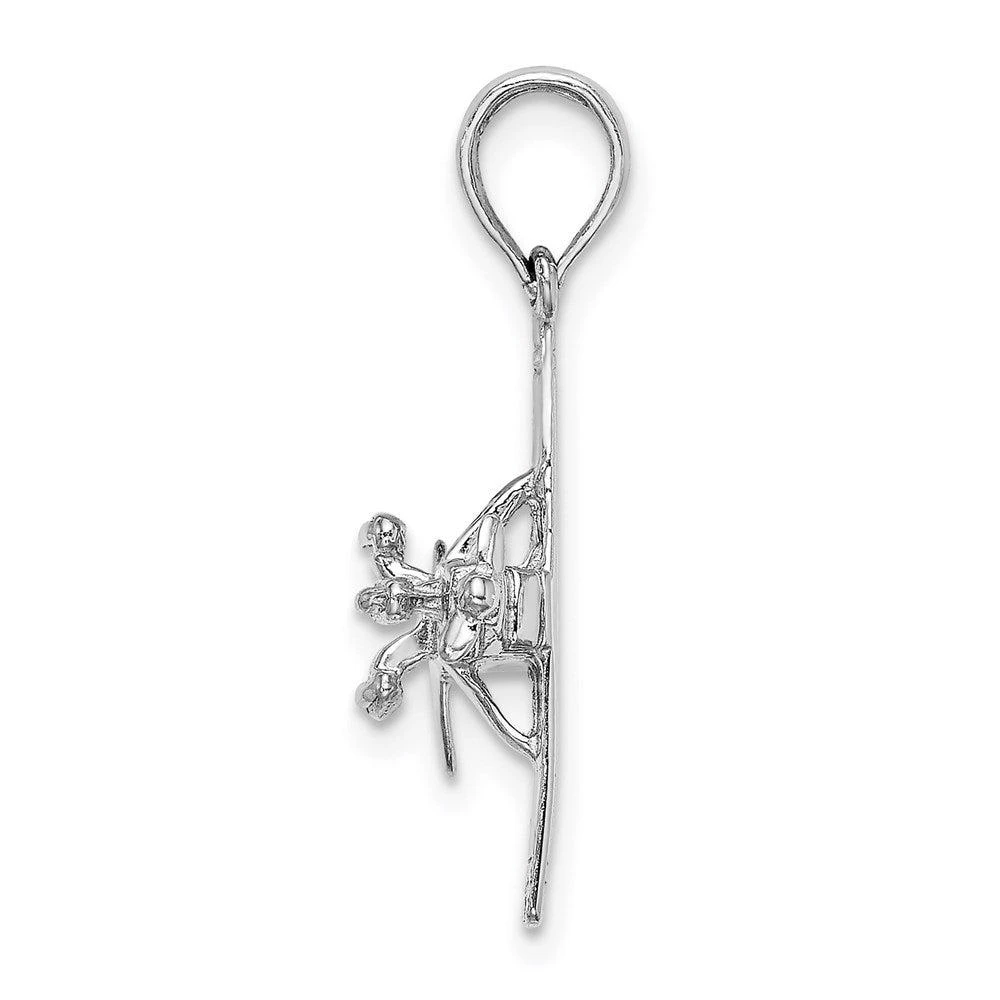 商品Diamond2Deal|14K White Gold 3-D High Wing Airplane Charm,价格¥2772,第2张图片详细描述
