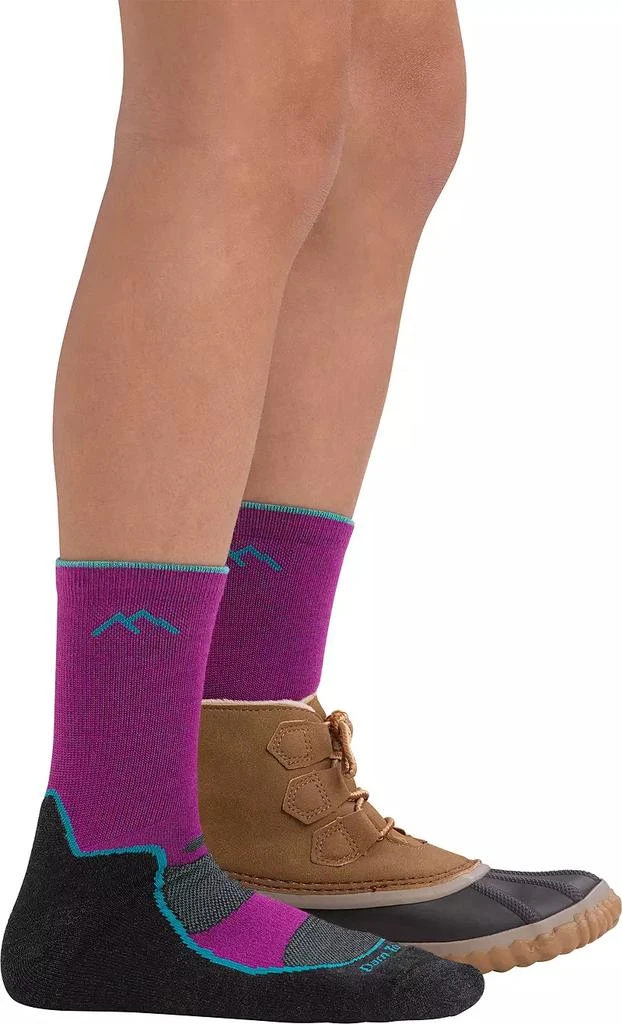 商品Darn Tough|Darn Tough Girls' Light Hiker Cushioned Micro Crew Socks,价格¥91,第3张图片详细描述