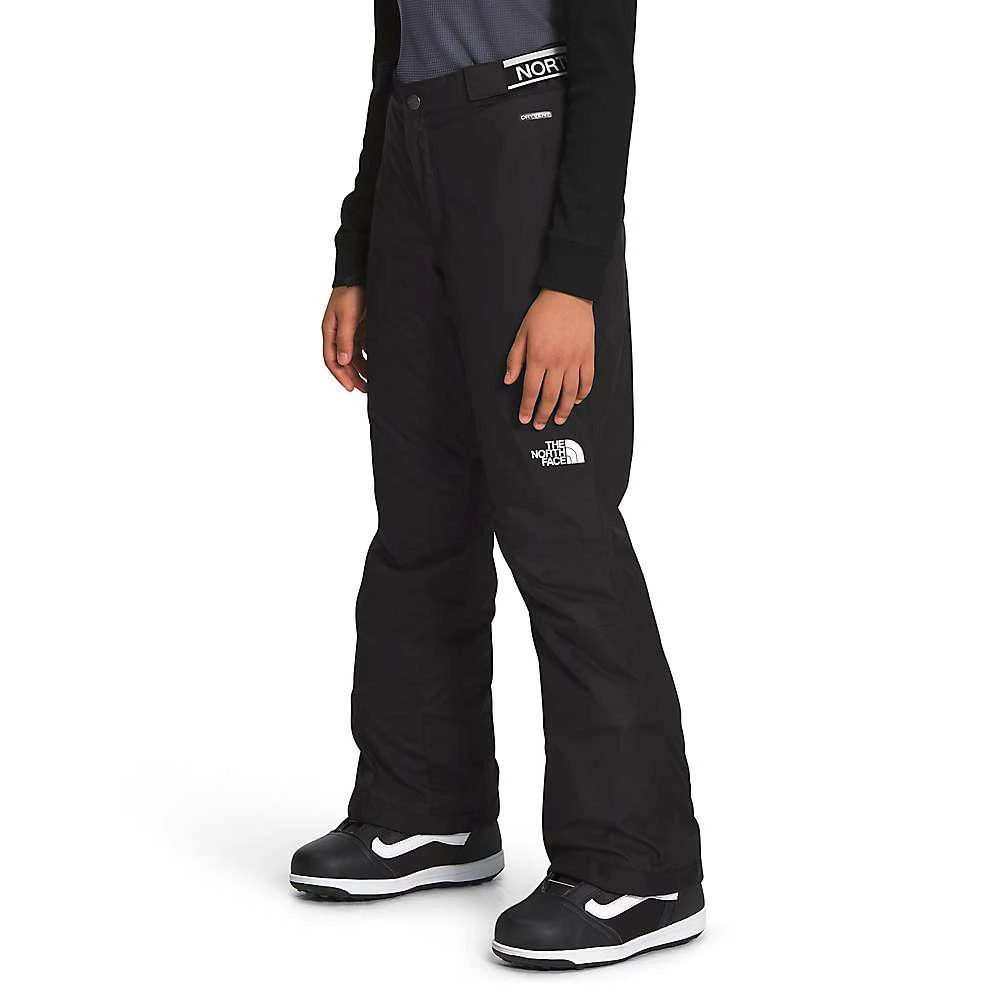 商品The North Face|The North Face Girls' Freedom Insulated Pant,价格¥522,第2张图片详细描述