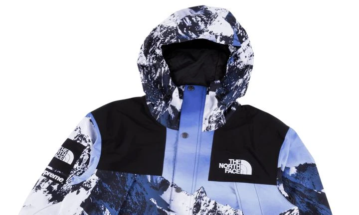 商品Supreme|Supreme TNF Mountain Parka,价格¥16431,第3张图片详细描述