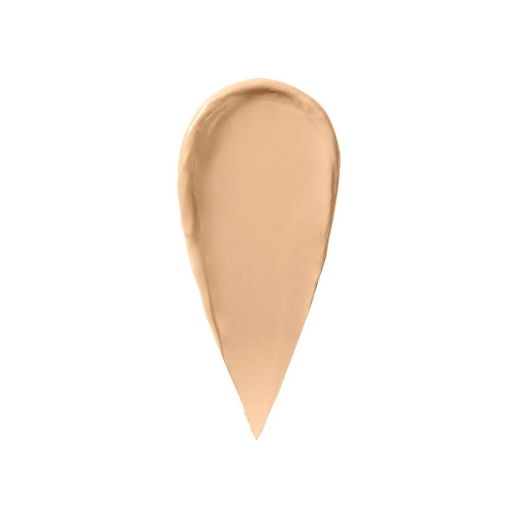 Skin Full Cover Concealer 商品