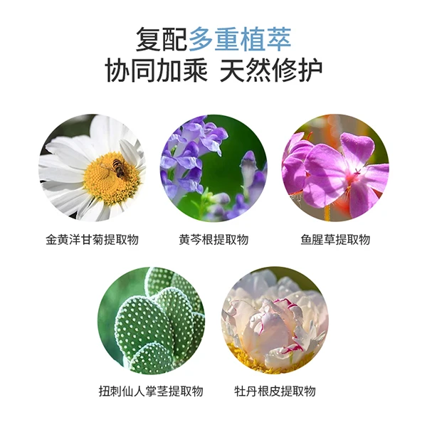 韩国SNP爱神菲乳酸杆菌补水保湿水乳蓝丸两件套 商品