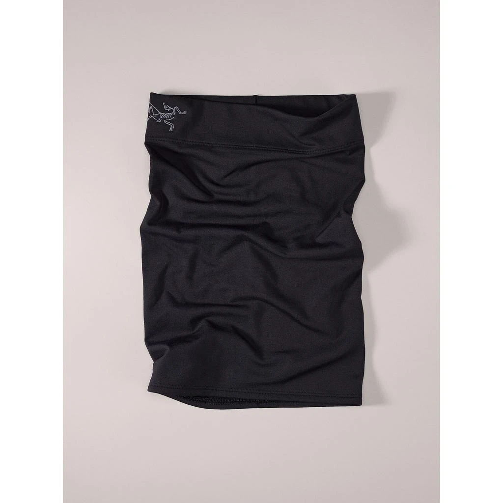 商品Arc'teryx|Arc'teryx Rho Neck Gaiter Long | Versatile Warm Microfleece Neck Gaiter,价格¥340,第2张图片详细描述