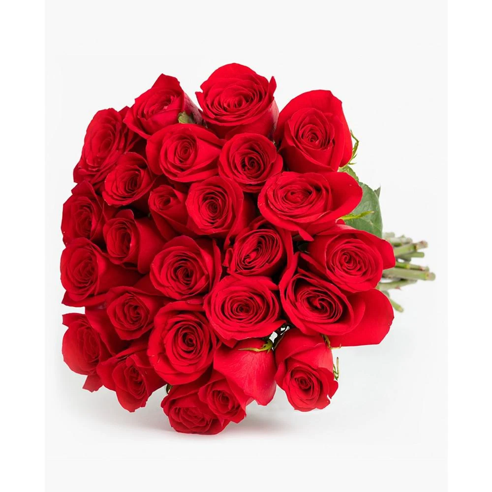 商品BloomsyBox|Splendid Red Roses Fresh Flower Bouquet,价格¥541,第4张图片详细描述