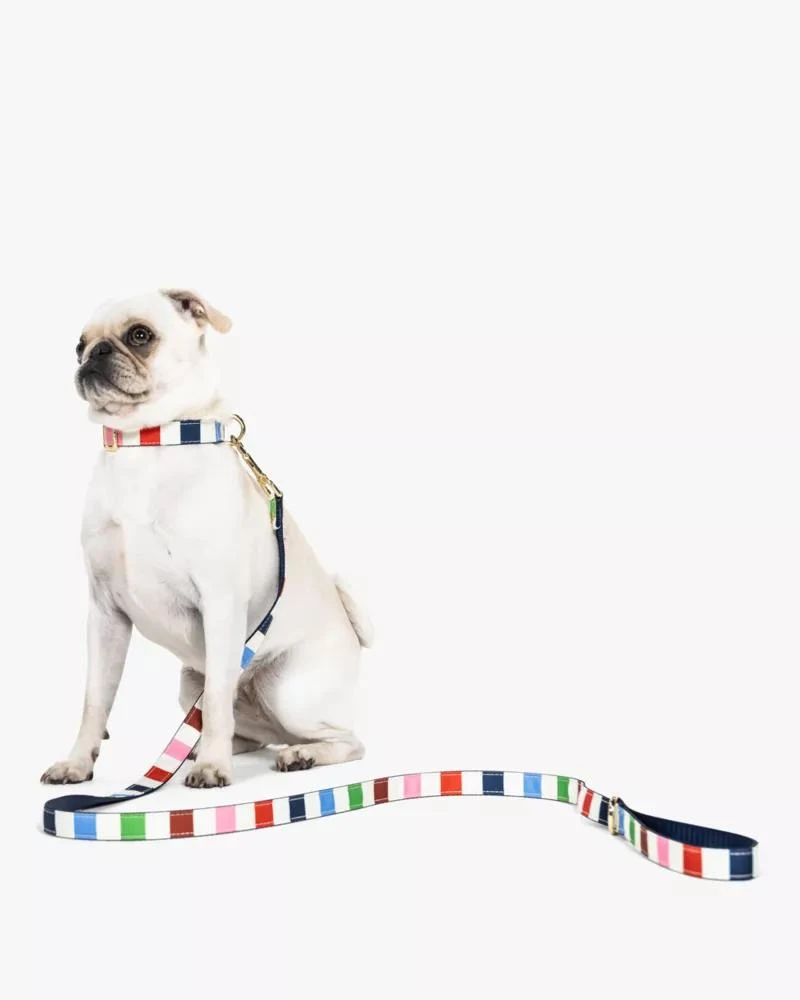 商品Kate Spade|Adventure Stripe Leash S/M,价格¥243,第2张图片详细描述