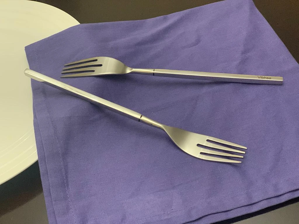 Vibhsa Modern Stainless Steel Dinner Fork Set of 6 1