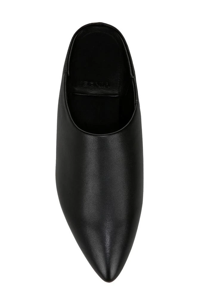 Cayslip Pointed Toe Mule 商品