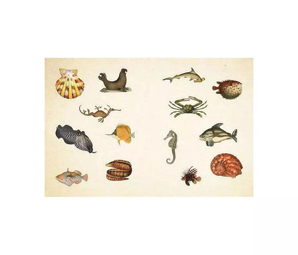 商品Barnes & Noble|Cabinet of Curiosities: Over 1,000 Curated Stickers from the Fascinating Collections of the Smithsonian by Smithsonian Institution,价格¥298,第3张图片详细描述