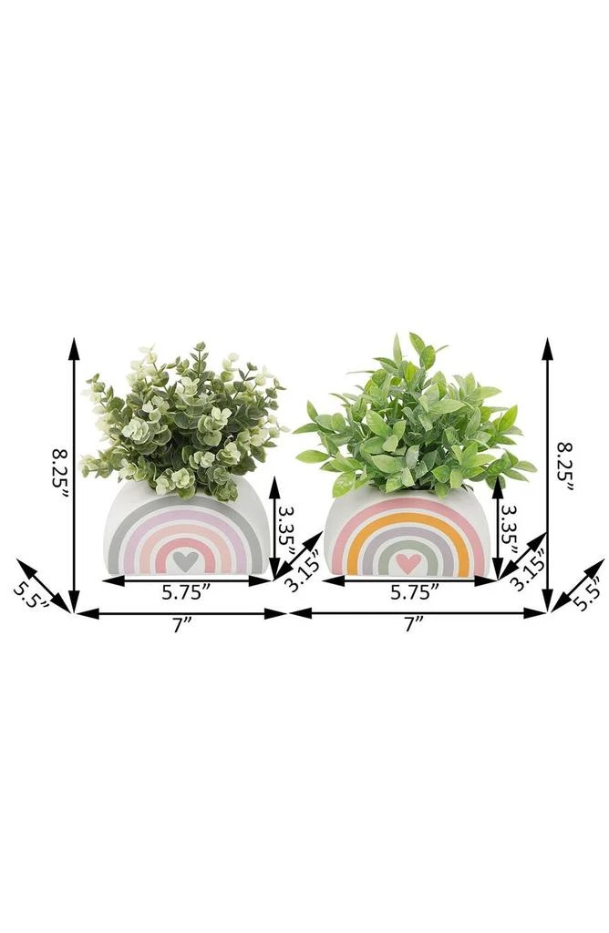 商品FLORA BUNDA|Eucalyptus & Tea Leaf in 5.75" Rainbow Pot, Set of 2,价格¥362,第2张图片详细描述