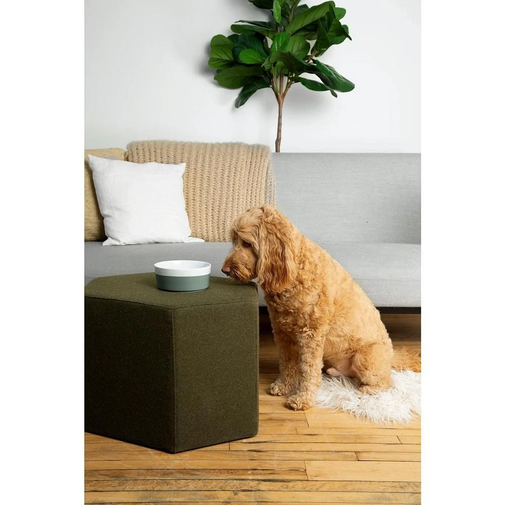 商品Waggo|Dog Dipper Bowl Large Cherry -,价格¥149,第3张图片详细描述