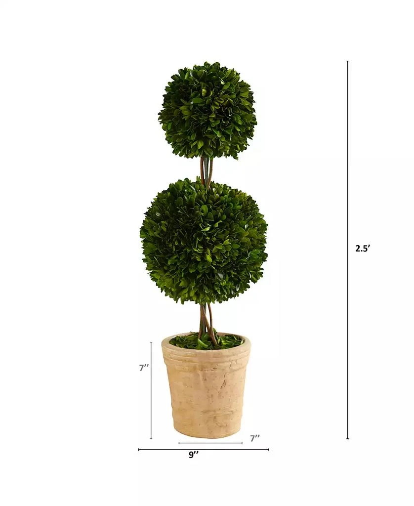 商品NEARLY NATURAL|2.5ft. Preserved Boxwood Double Ball Topiary Tree in Decorative Planter,价格¥1390,第2张图片详细描述