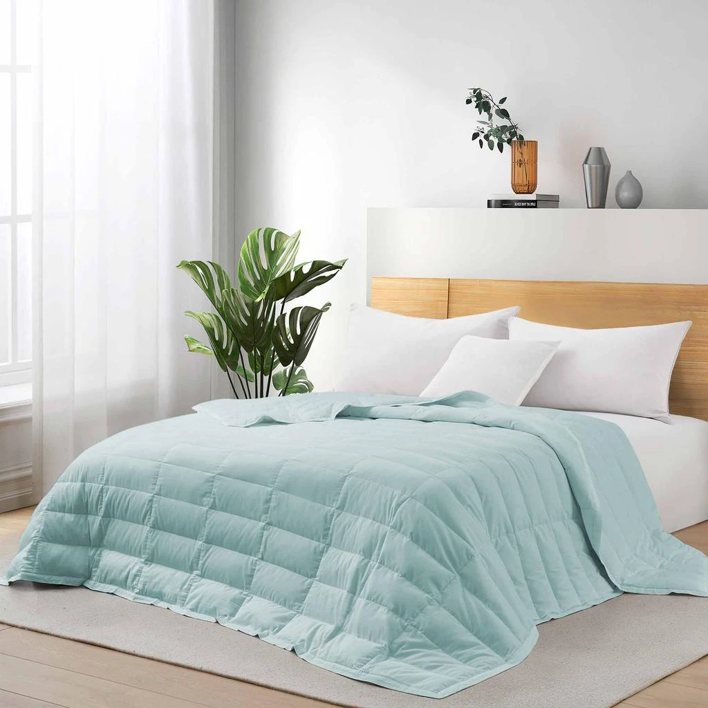 商品Puredown|TENCEL Lyocell Lightweight Cooling Down Bed Blanket Comforter, King or Queen Size Quilt,价格¥920,第1张图片